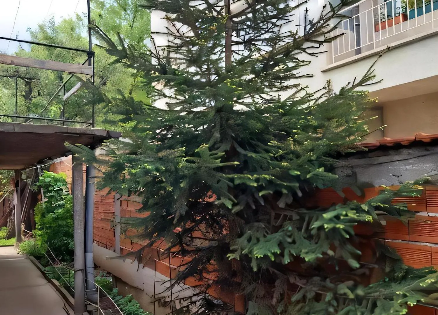 Independent Studio In A House In The City Σόφια